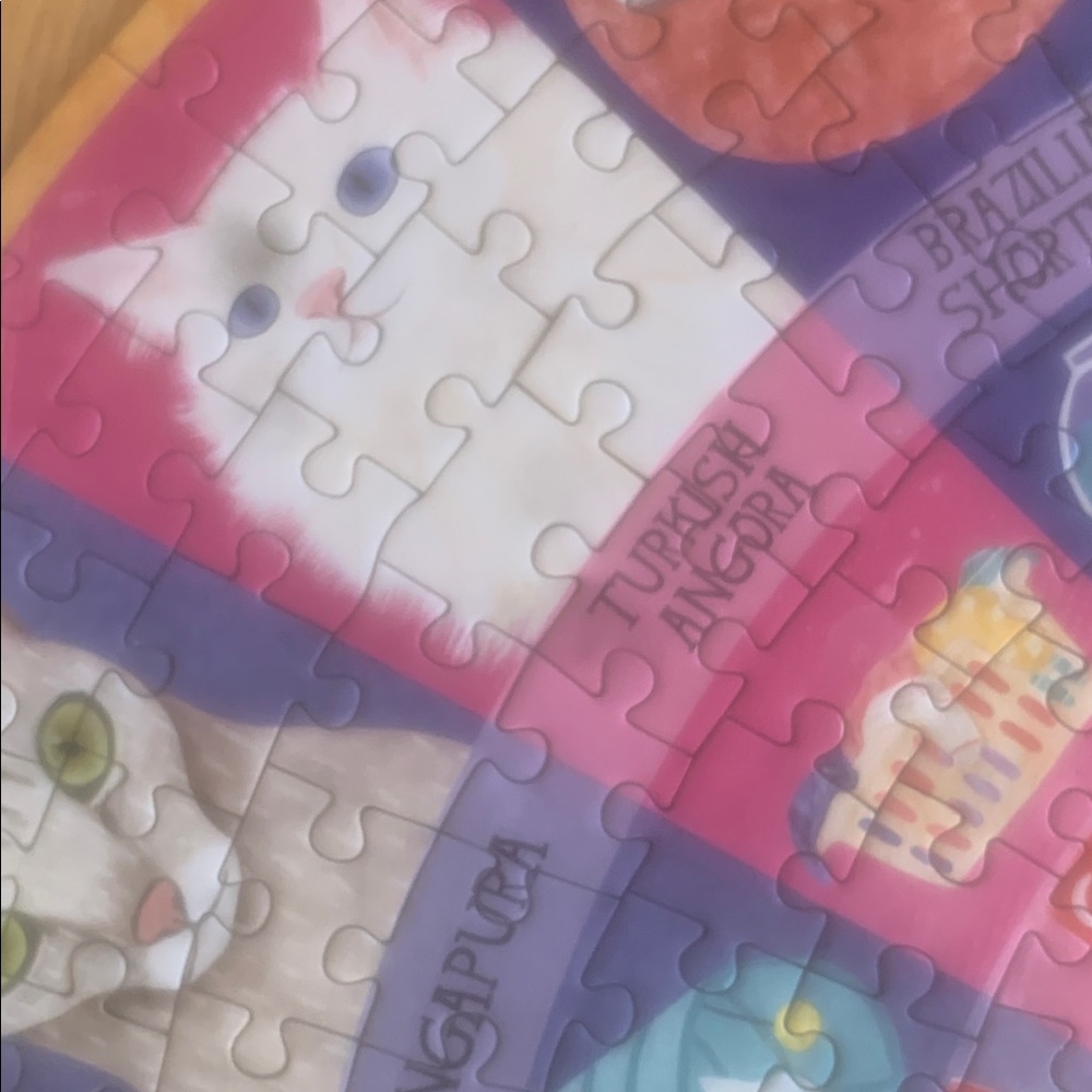 Puzzle by eeboo. 500ct. Cats of the World. - Picture 6 of 12